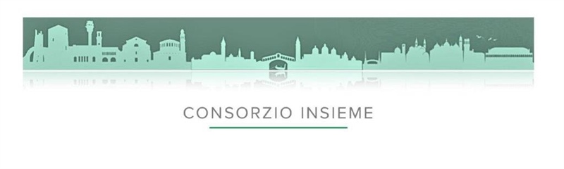 CONSORZIO INSIEME SOC.COOP.SOC.